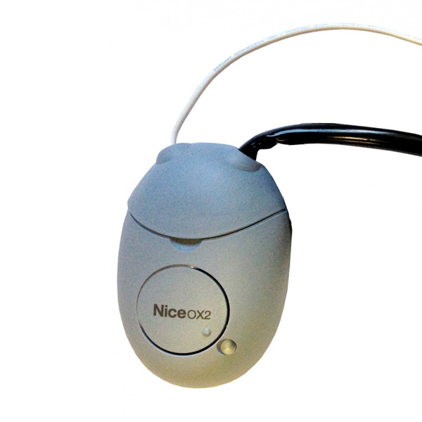 Image du produit OX2 recepteur NICE 2 canaux #1 (recepteur-OX2-NICE.jpg)